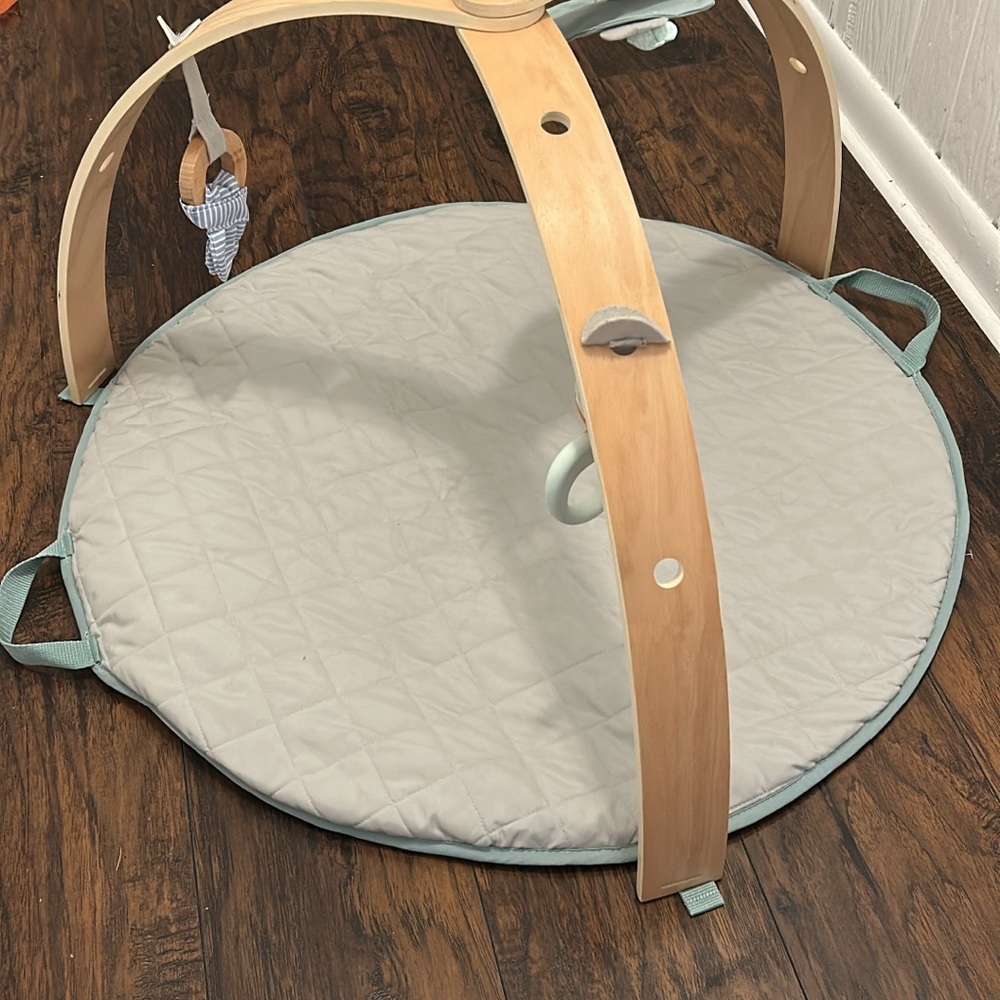 Ingenuity Baby Gym & Activity Tummy Time Mat